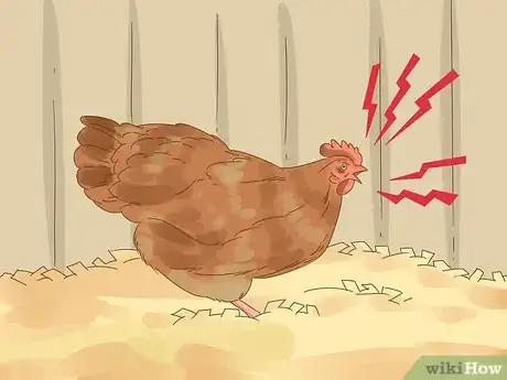 Imagen titulada Tell if a Chicken is Sick Step 19