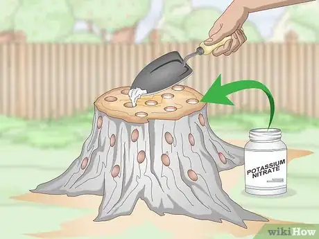 Imagen titulada Burn Tree Stumps Step 5
