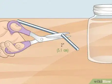 Imagen titulada Make an Electroscope Step 10