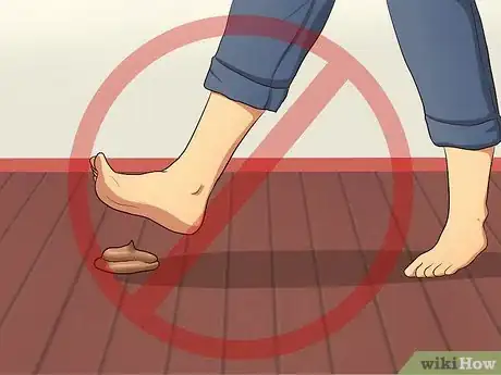 Imagen titulada Identify Different Dog Worms Step 7