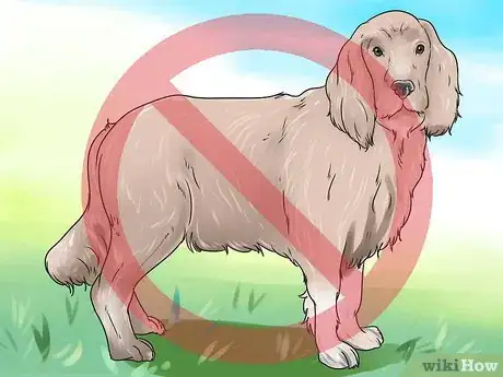 Imagen titulada Get Dogs to Mate Step 2
