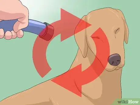 Imagen titulada Remove Skunk Odor from Dogs Step 13