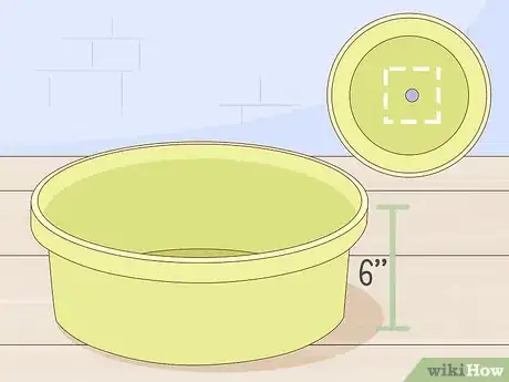 Imagen titulada Grow Onions Indoors Step 1