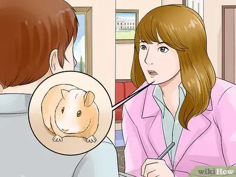 Imagen titulada Breed Standard Guinea Pigs Step 6
