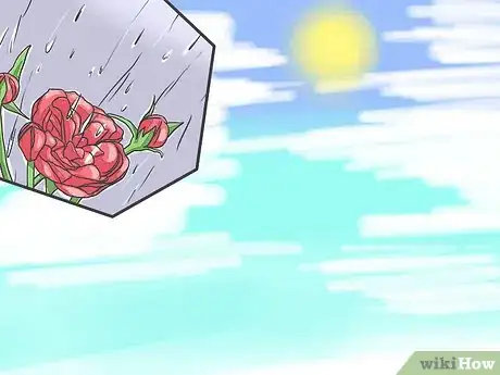 Imagen titulada Save a Dying Rose Bush Step 14