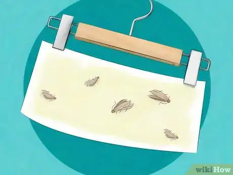 Imagen titulada Get Rid of Moths Step 2
