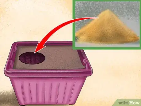 Imagen titulada Retrain a Cat to Use the Litter Box Step 9