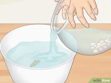 Imagen titulada Clean a Betta Fish Bowl Step 15