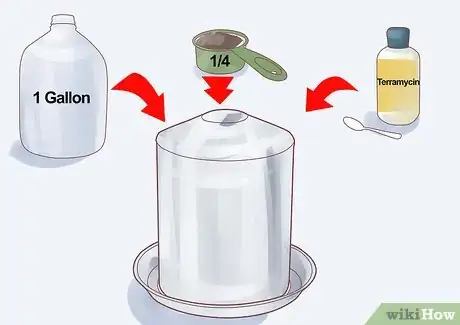 Imagen titulada Feed Chickens Step 2