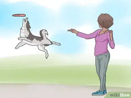 Imagen titulada Stop Your Dog from Eating Your Plants Step 12