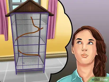 Imagen titulada Know if a Senegal Parrot Is Right for You Step 5