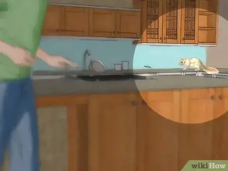 Imagen titulada Get Rid of a Squirrel in Your House Step 1