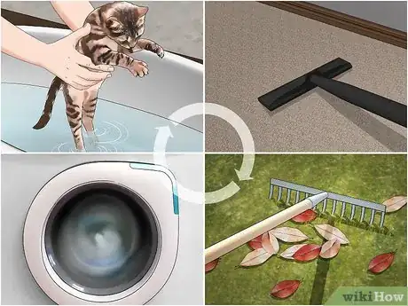 Imagen titulada Get Rid of Fleas Naturally Step 6