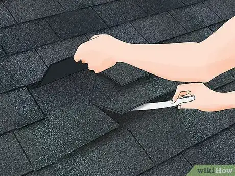 Imagen titulada Weatherproof a Shed Step 9