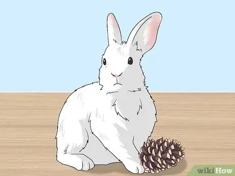 Imagen titulada Make Homemade Rabbit Toys Step 4