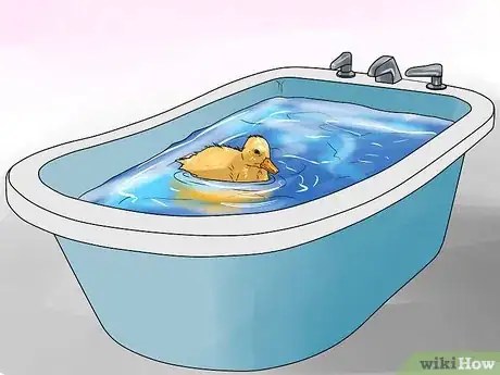 Imagen titulada Care for a Pet Duck Step 16