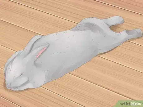 Imagen titulada Understand Your Rabbit Step 5