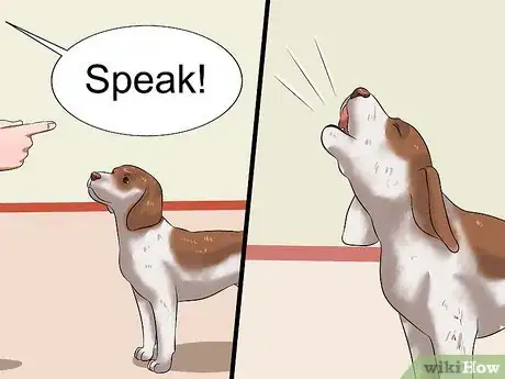 Imagen titulada Teach Your Dog to Speak Step 11