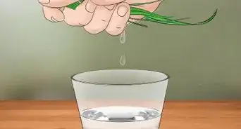 recolectar agua de las plantas