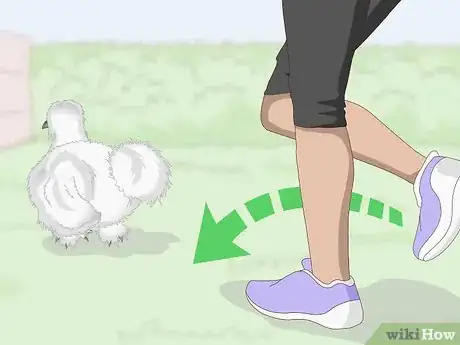 Imagen titulada Pet a Chicken Step 3