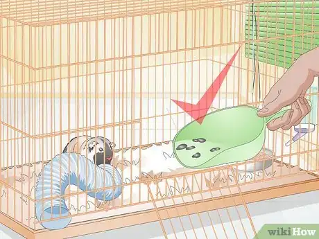 Imagen titulada Clean up After Your Guinea Pig Step 19