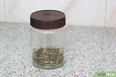 Imagen titulada Dry Rosemary Step 12
