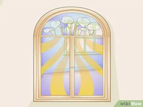 Imagen titulada Stop Birds from Attacking Windows Step 2