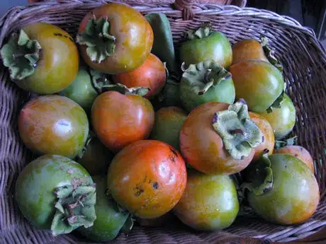 Imagen titulada Persimmon