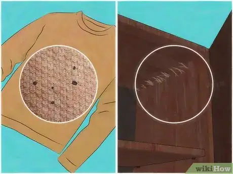 Imagen titulada Get Rid of Moths Step 1