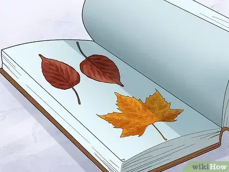 Imagen titulada Preserve Fall Leaves Step 22