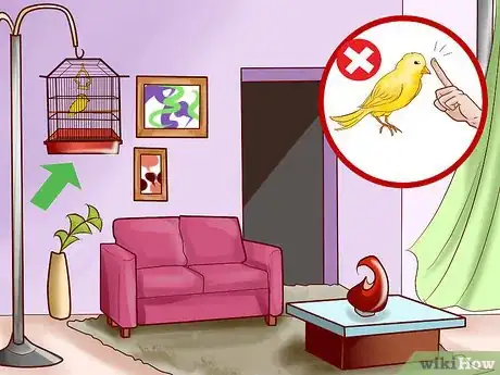 Imagen titulada Keep a Canary Entertained Step 2