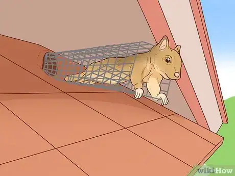 Imagen titulada Get Rid of Squirrels Step 12
