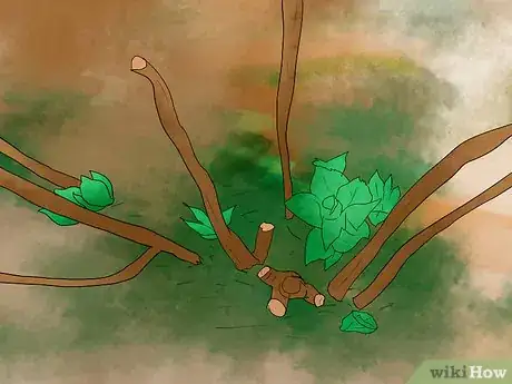 Imagen titulada Prune Hydrangeas Step 6