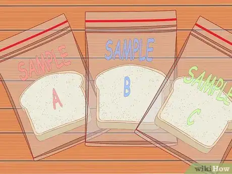 Imagen titulada Make Mold Grow on Bread Step 7