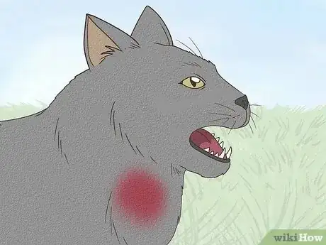 Imagen titulada Tell if a Cat Has a Sore Throat Step 5