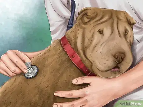 Imagen titulada Diagnose Skin Masses on Dogs Step 6
