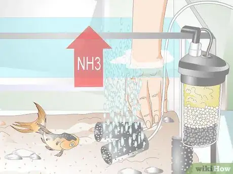 Imagen titulada Lower Ammonia Levels in a Fish Tank if They Are Not Very High Step 6