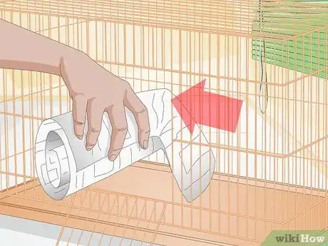 Imagen titulada Clean up After Your Guinea Pig Step 14
