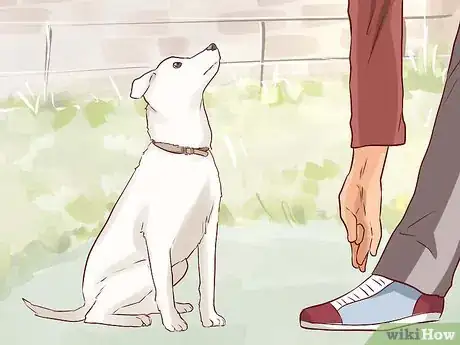Imagen titulada Tell Your Dog No Step 5