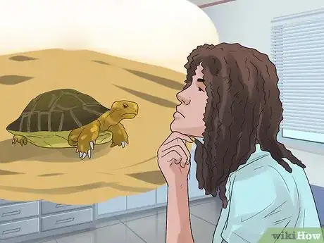 Imagen titulada Take Care of a Land Turtle Step 4