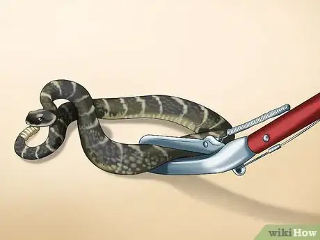 Imagen titulada Deal With a Snake in the House Step 7
