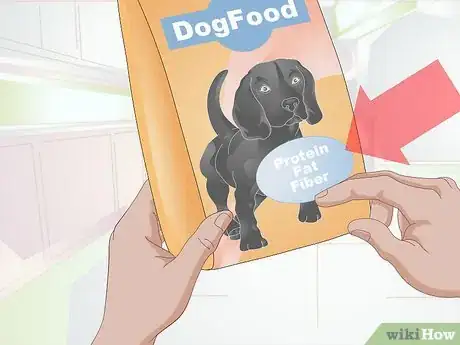 Imagen titulada Feed a Dog Step 2