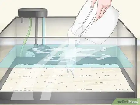 Imagen titulada Know when Your Goldfish Is Dying Step 10