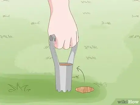 Imagen titulada Plant Bulbs in Grass Step 14