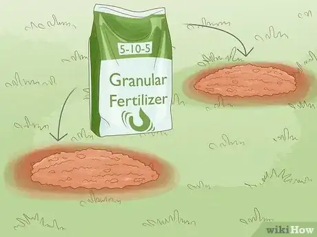 Imagen titulada Plant Bulbs in Grass Step 18
