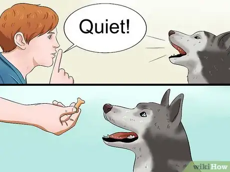 Imagen titulada Teach Your Dog to Speak Step 12
