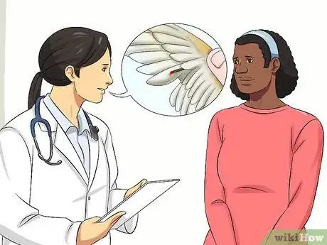 Imagen titulada Clip a Cockatiel's Flier Feathers Step 12