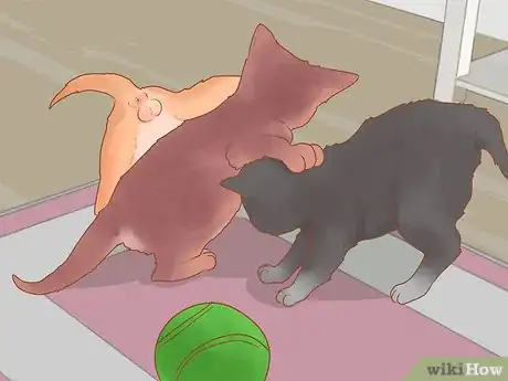 Imagen titulada Take Care of Kittens Step 21