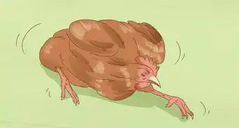 determinar si un pollo está enfermo