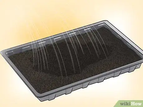 Imagen titulada Propagate Clematis Step 4